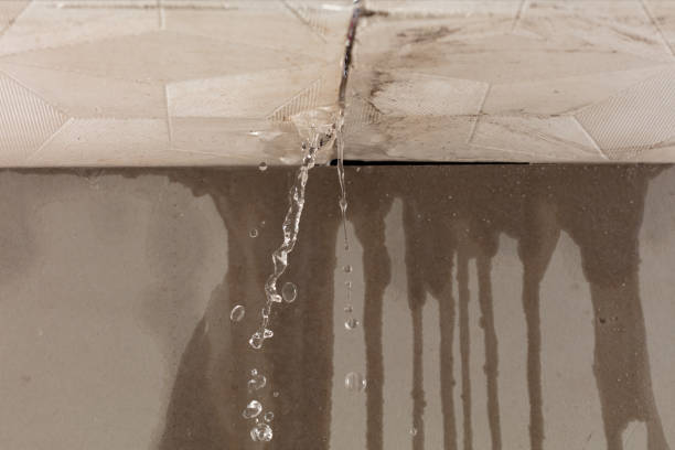 Professional Water Damage Restoration technician working in Williston, FL